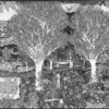 Pilgrim's Regress I - B&W - Image 3